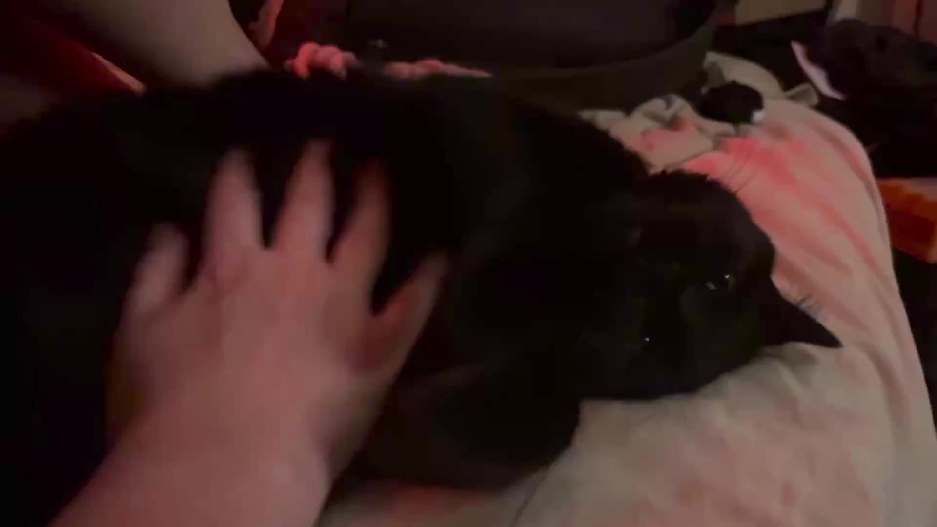 Nappish voïd