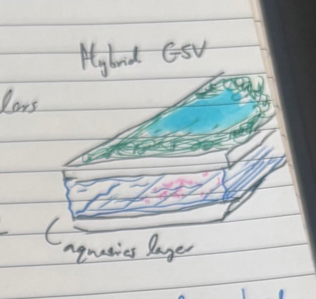 Two deck plates of a general systems vehicle, about 1km-4km thick. Lower volume is water-filled and has a reef. The upper plat volume is lush with green plants, and has a lake